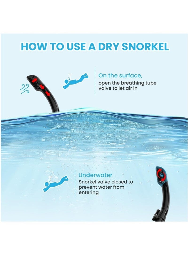 MEDOOSI Adult Snorkeling Gear, Dry Snorkeling Kit, 180° Panoramic Wide View Dive Mask, Free Breathing Snorkeling Mask for Snorkeling, Scuba Diving and Swimming Trips - Image 4