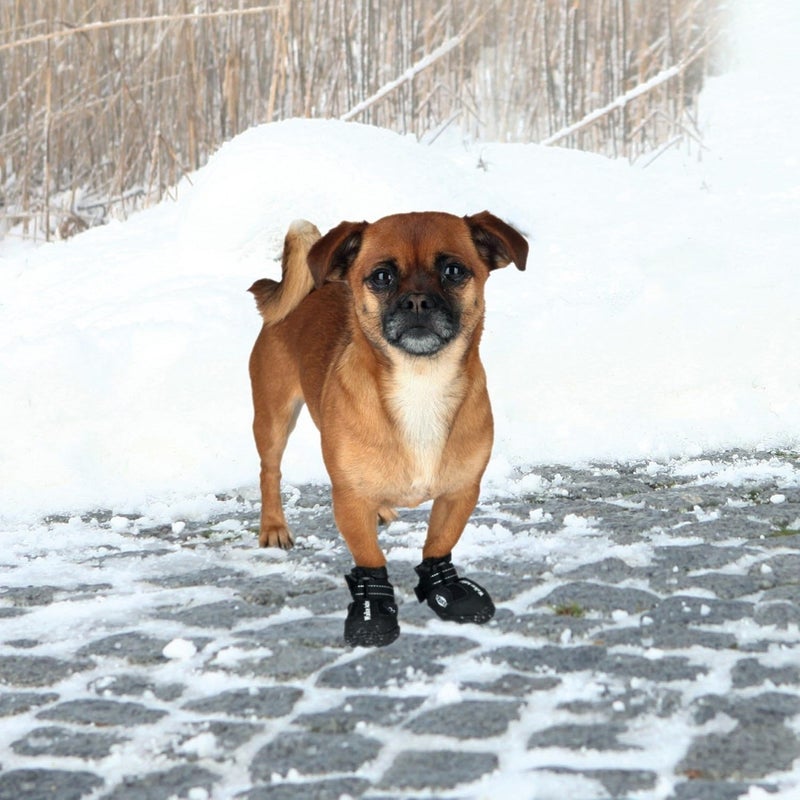 Trixie Walker Active Protective Boots for Dogs - XL - Image 5