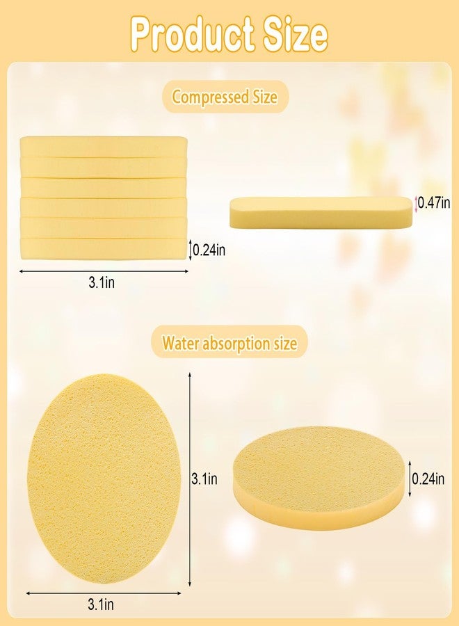CARTZILLA 24 Pcs Facial Sponge Compressed, Face Cleansing Sponge Estheticians Compressed Makeup Facial Round Wash Face for Women Compress Exfoliating Removal - Image 2