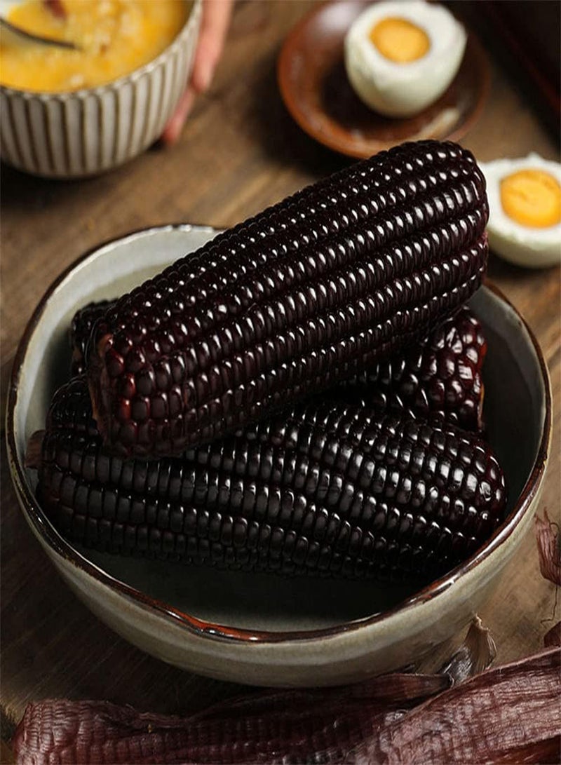 جي جوت 15 قطعة من بذور الذرة السوداء النادرة، محاصيل الخضراوات الطبيعية المزروعة في مزرعة الحديقة، ديكور بستاني فريد له قيمة زخرفية - Image 1