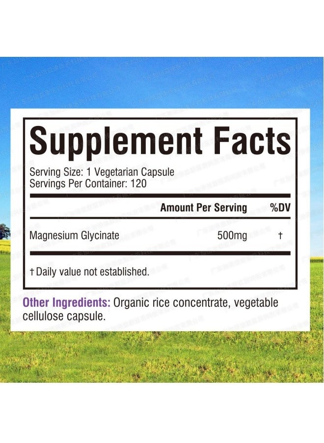 Magnesium Glycinate - High Absorption Magnesium Glycinate Capsules 120 Capsules - Image 1