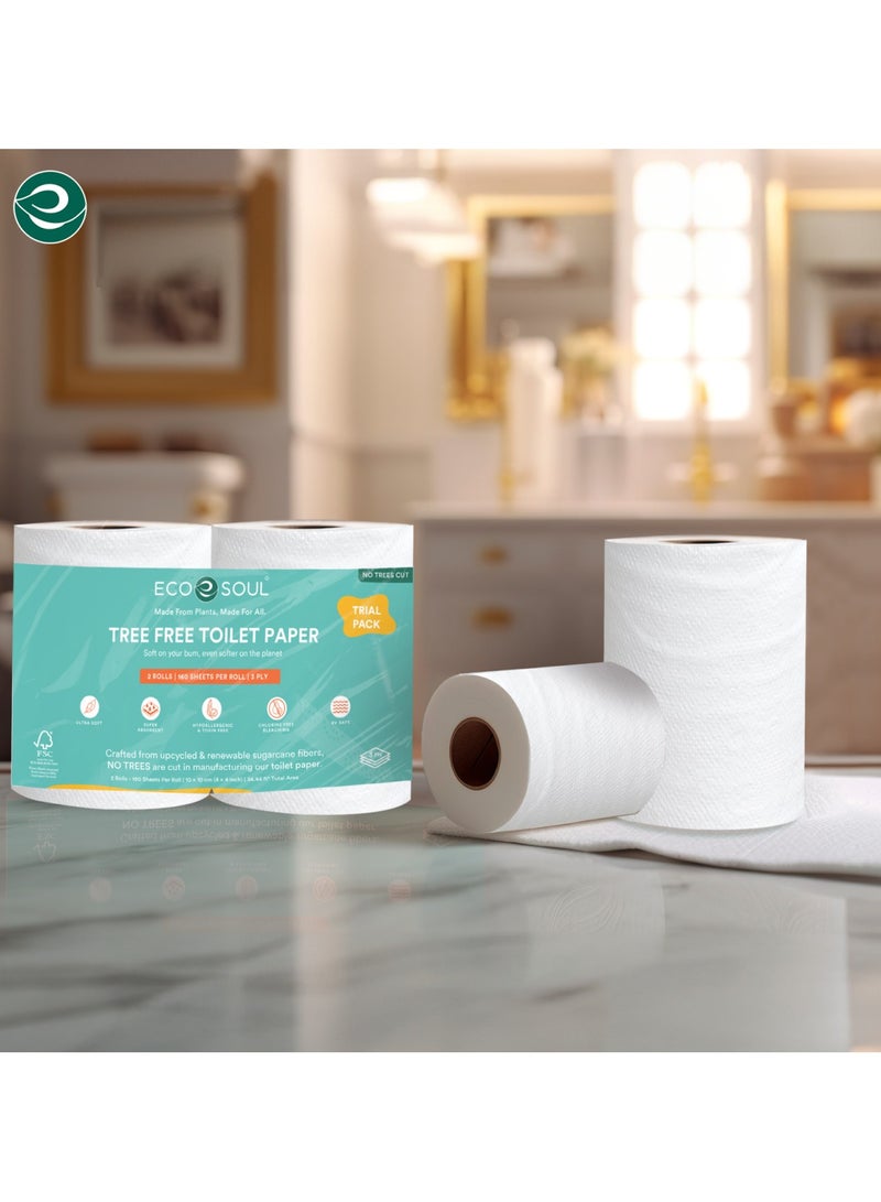ECO SOUL Compostable Toilet Paper, 2 Ply, 200 sheets, Pack of 4  - Image 3