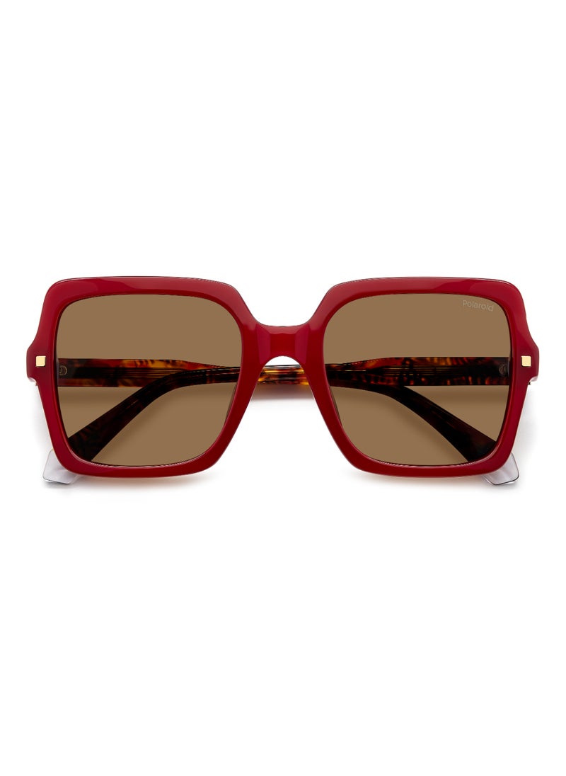 Polaroid Women's Polarized Square Shape Acetate Sunglasses PLD 4165/S/X GOLD 50 - Lens Size: 49.7 Mm - Burgundy  - Image 4