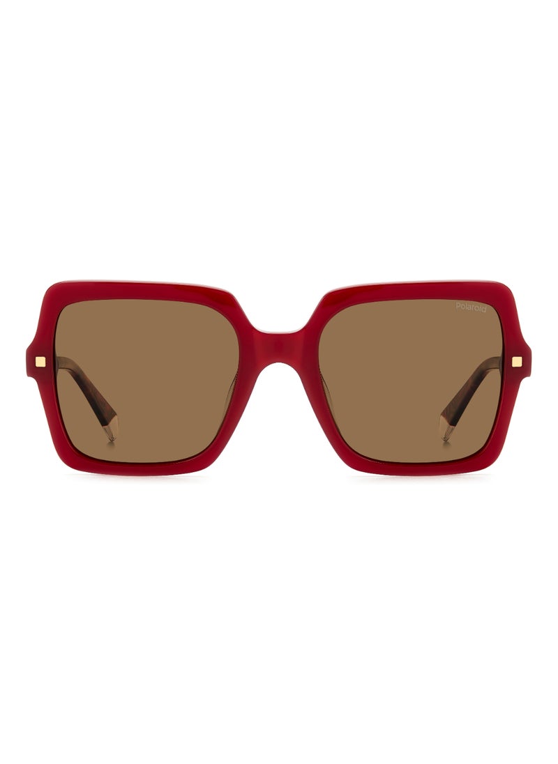Polaroid Women's Polarized Square Shape Acetate Sunglasses PLD 4165/S/X GOLD 50 - Lens Size: 49.7 Mm - Burgundy  - Image 3