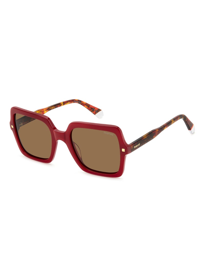 Polaroid Women's Polarized Square Shape Acetate Sunglasses PLD 4165/S/X GOLD 50 - Lens Size: 49.7 Mm - Burgundy  - Image 1