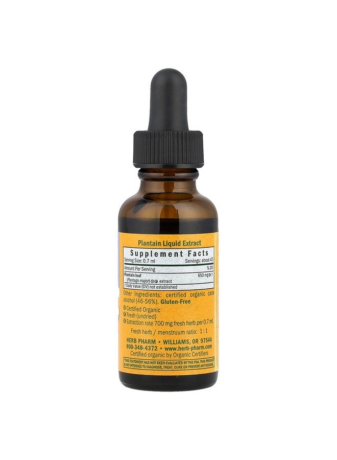 Herb Pharm Certified Organic Plantain Liquid Extract for Cleansing and Detoxification - 1 Ounce (DPLAN01) - Image 2