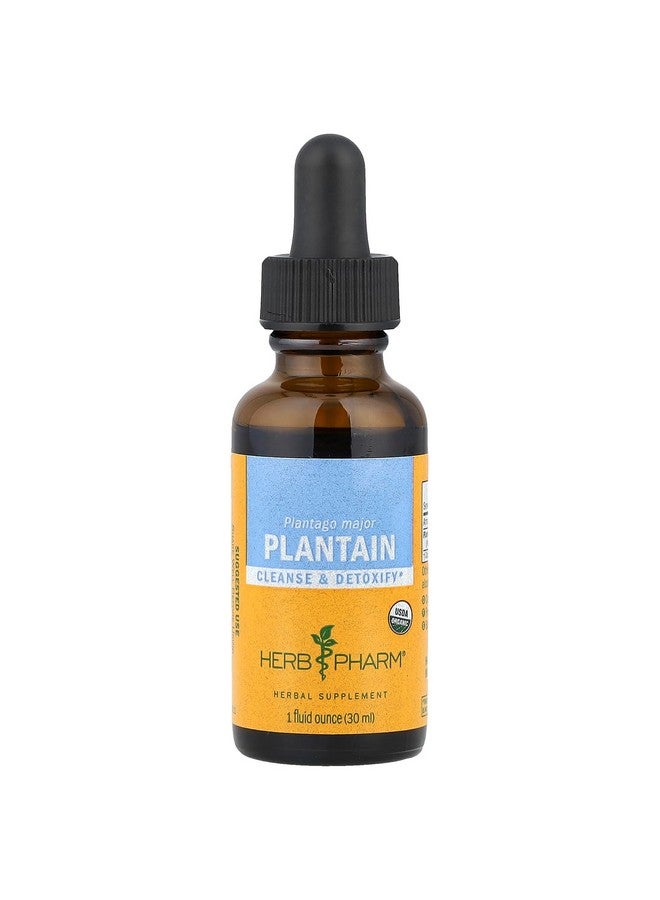 Herb Pharm Certified Organic Plantain Liquid Extract for Cleansing and Detoxification - 1 Ounce (DPLAN01) - Image 1