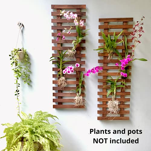 ShopLaLa Wall Planter – Hanging Planter for Indoor Plants, Plant Stand, Air Plant Succulent Holder, Vertical Garden. Large Wall Decor for Living Room, Room Decor for Teens - Image 5