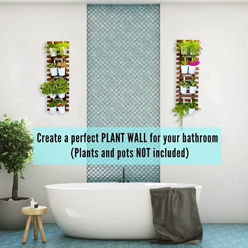 ShopLaLa Wall Planter – Hanging Planter for Indoor Plants, Plant Stand, Air Plant Succulent Holder, Vertical Garden. Large Wall Decor for Living Room, Room Decor for Teens - Image 3