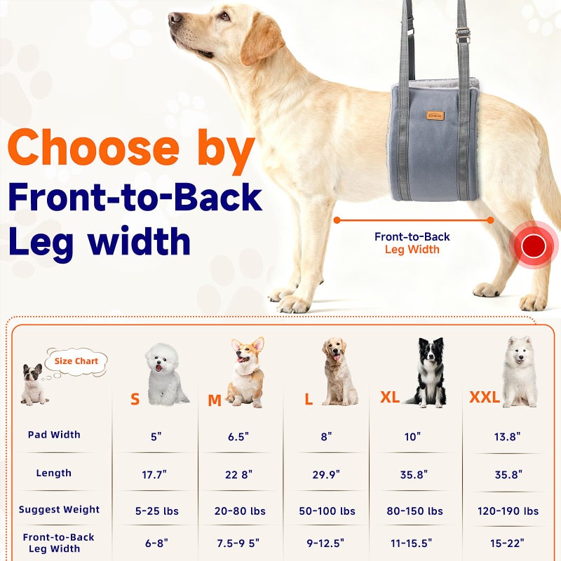 Sunsleek Dog Lift Harness for Large Dogs, Adjustable Dog Sling for Back Legs, Hip Support Harness to Help Lift Dogs Rear for Helps Senior, Injured, Disabled and After ACL Surgery Dogs - Large, Grey - Image 3