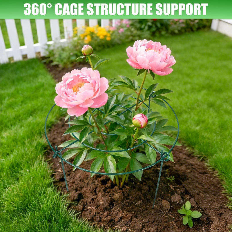 YIBOBO Peony Cages and Supports 8 Pack, 11.5 x 20 Inch Heavy Duty Plant Support Cage Set for Peonies, Roses & Tomatoes â€“ Garden Stakes & Plant Cages for Outdoor Plants (8 Pack, 11.5 x 20 Inch) - Image 2