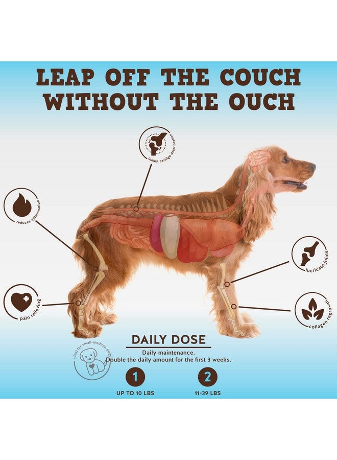 Jack&Pup Dog Joint Supplement FlexAgility Bark Buddies | Glucosamine Chondroitin For Dogs | Hip And Joint Chews For Dogs (5Oz, 60 Ct) - Image 2