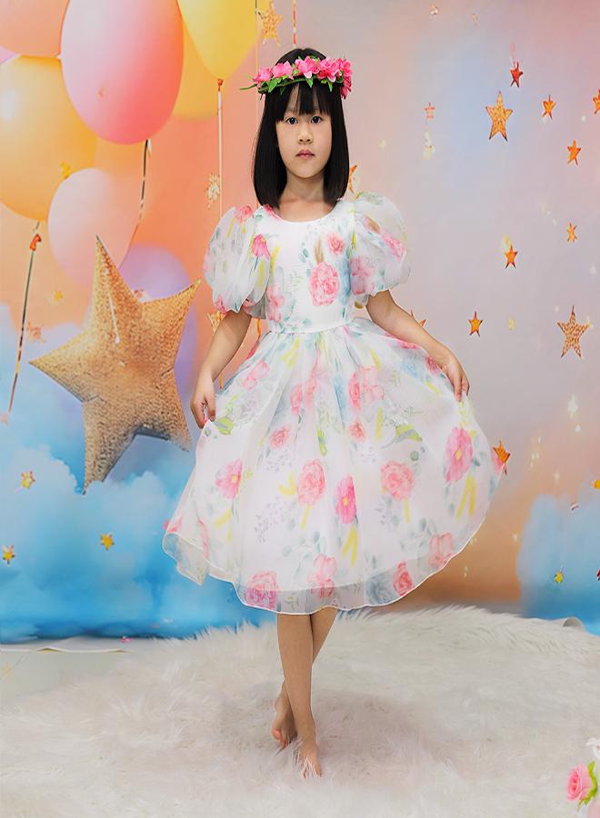 babyqlo Floral Organza Dress - Image 1
