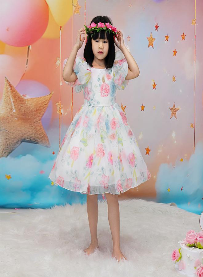 babyqlo Floral Organza Dress - Image 5