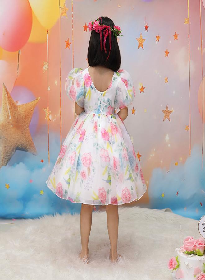 babyqlo Floral Organza Dress - Image 2