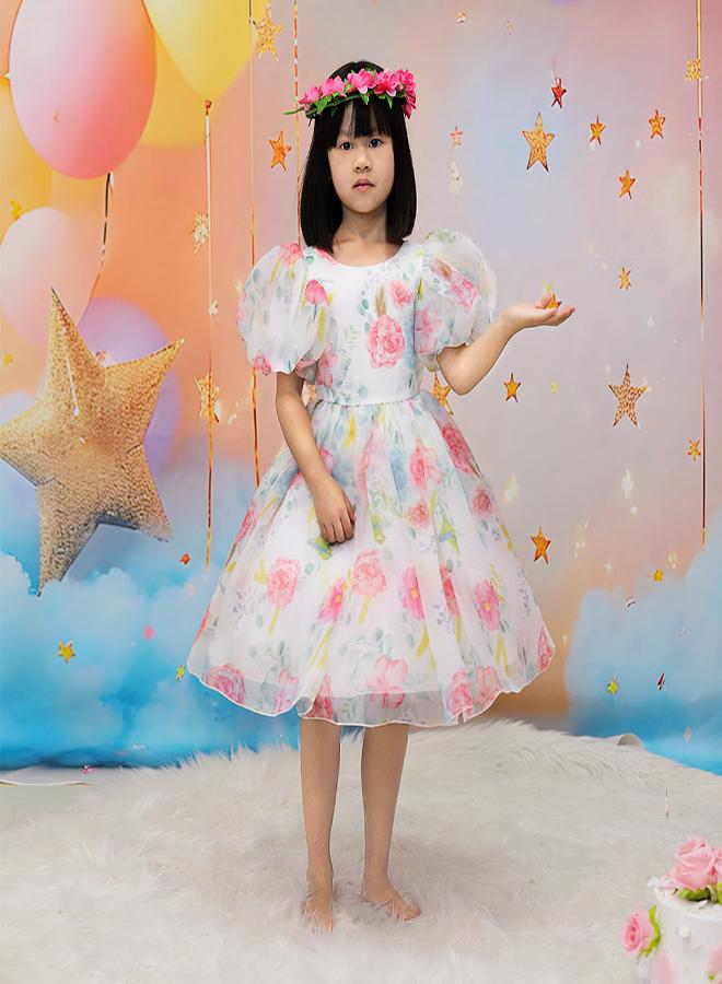babyqlo Floral Organza Dress - Image 3