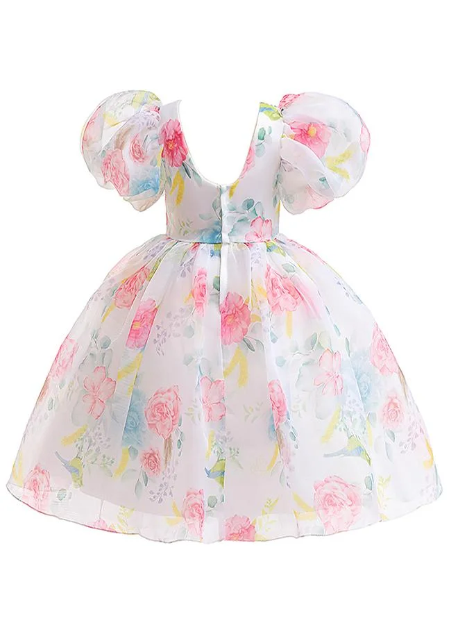 babyqlo Floral Organza Dress