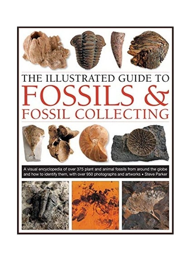 The Illustrated Guide to Fossils & Fossil Collecting: A Reference Guide to Over 375 Plant and Animal Fossils from Around the Globe and How to Identify  - Image 1