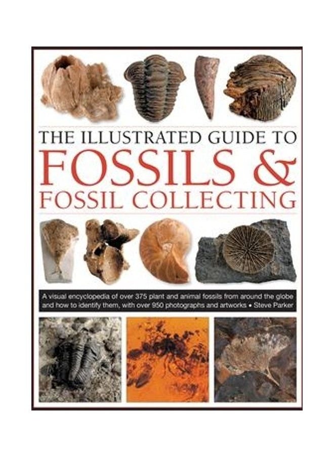 The Illustrated Guide to Fossils & Fossil Collecting: A Reference Guide to Over 375 Plant and Animal Fossils from Around the Globe and How to Identify  - Image 2
