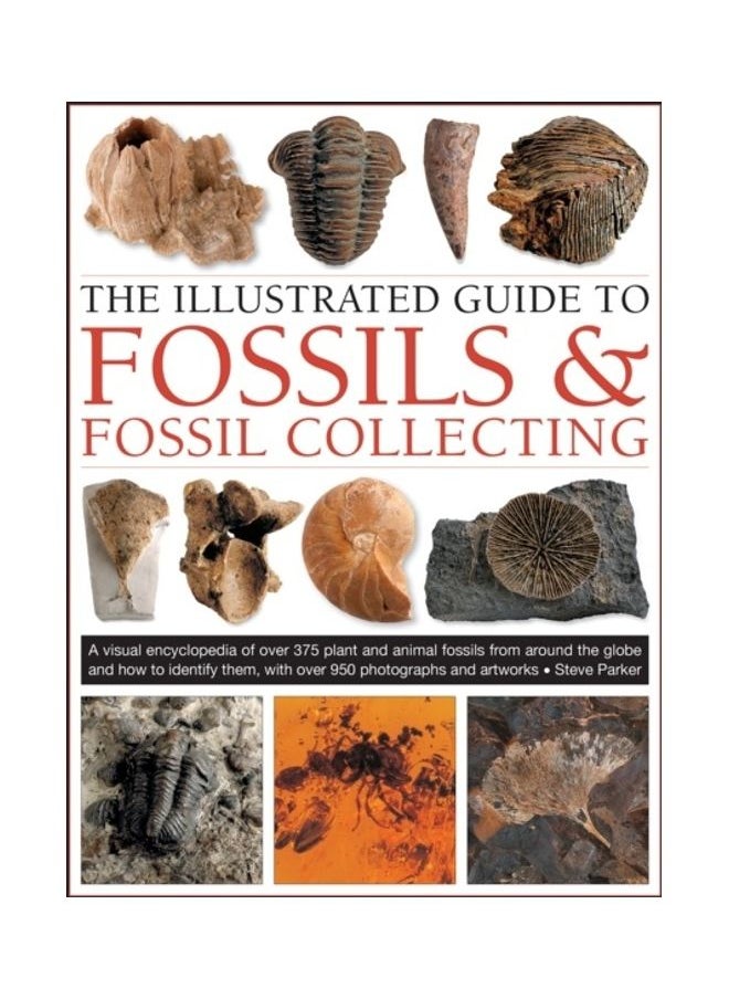 The Illustrated Guide to Fossils & Fossil Collecting: A Reference Guide to Over 375 Plant and Animal Fossils from Around the Globe and How to Identify  - Image 3