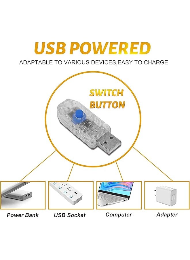 إيروريكس 2 حزمة من مصابيح خرافية بمنفذ USB مع جهاز تحكم عن بعد 10 أقدام و3 أمتار و100 مصباح LED متلألئ على شكل مجموعة ألعاب نارية و8 أوضاع وسلسلة من الأسلاك النحاسية المقاومة للماء لغرفة النوم وحفلات الزفاف وديكور الحديقة  - Image 4