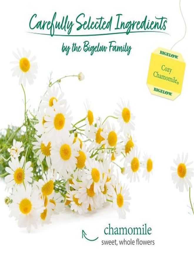 Bigelow Tea Cozy Chamomile Herbal Tea, Caffeine Free Tea with Chamomile Flowers, 20 Count Box (Pack of 6), 120 Total Tea Bags - Image 2
