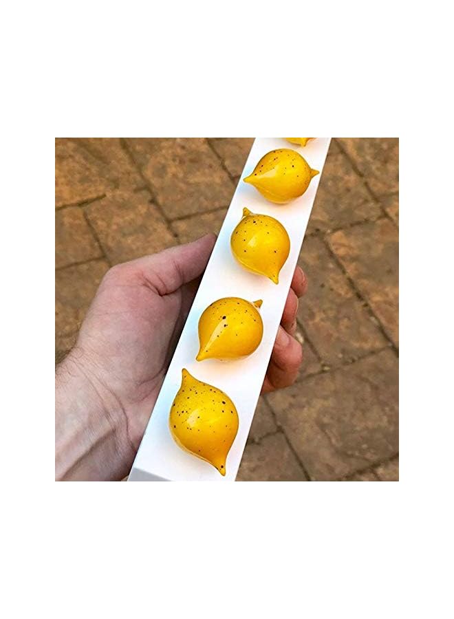 S-TOP Lemon Polycarbonate Chocolate Mould - Image 4