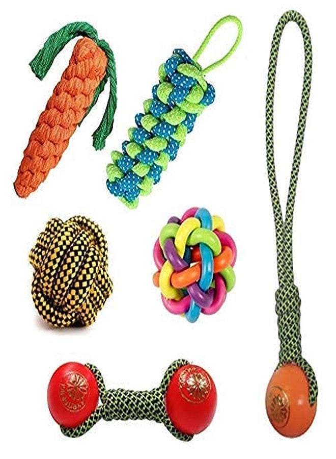 Pet Guard Rope Teether Ball Chew Toys for Puppy - Combo of 6 - Image 1