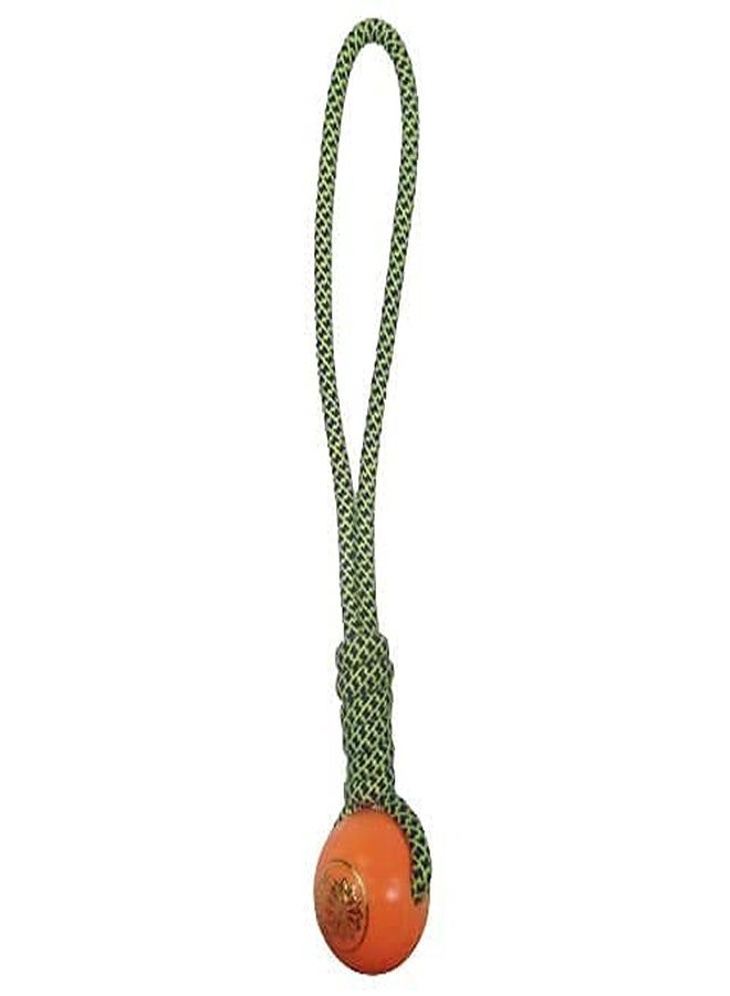Pet Guard Rope Teether Ball Chew Toys for Puppy - Combo of 6 - Image 2
