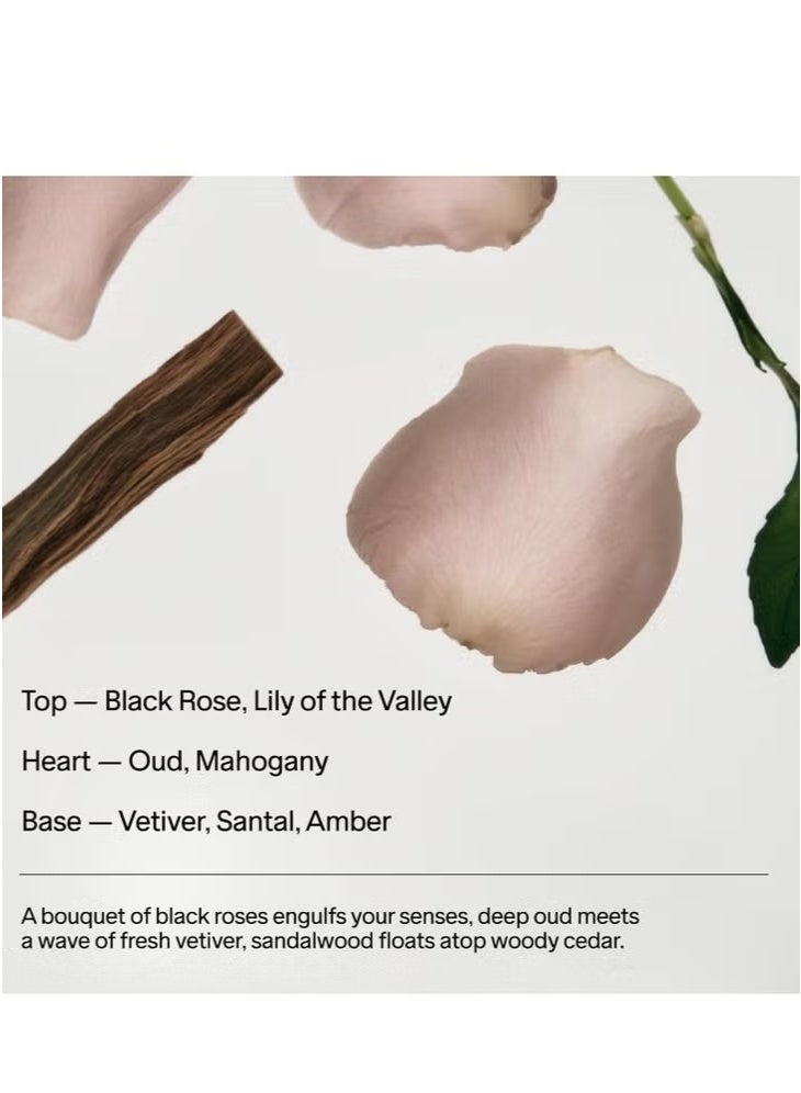 سولت اند ستون مزيل العرق الطبيعي سولت آند ستون سانتال للنساء والرجال - مزيل عرق قوي للغاية خالٍ من الألومنيوم مع البروبيوتيك وخلاصة الأعشاب البحرية وزبدة الشيا، 2.6 أونصة - Image 5