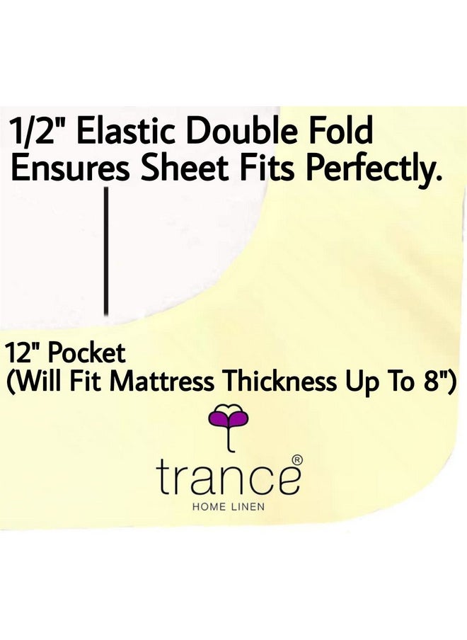 Trance Home Linen Pure 100% Cotton 400 TC Queen Fitted Bedsheet with 2 Pillow Covers (Queen 78x60, Ivory) - pzsku/Z8E9BF52305BCD0B18233Z/45/_/1741429537/80591095-547a-449b-ad76-ba02acf5ad5e