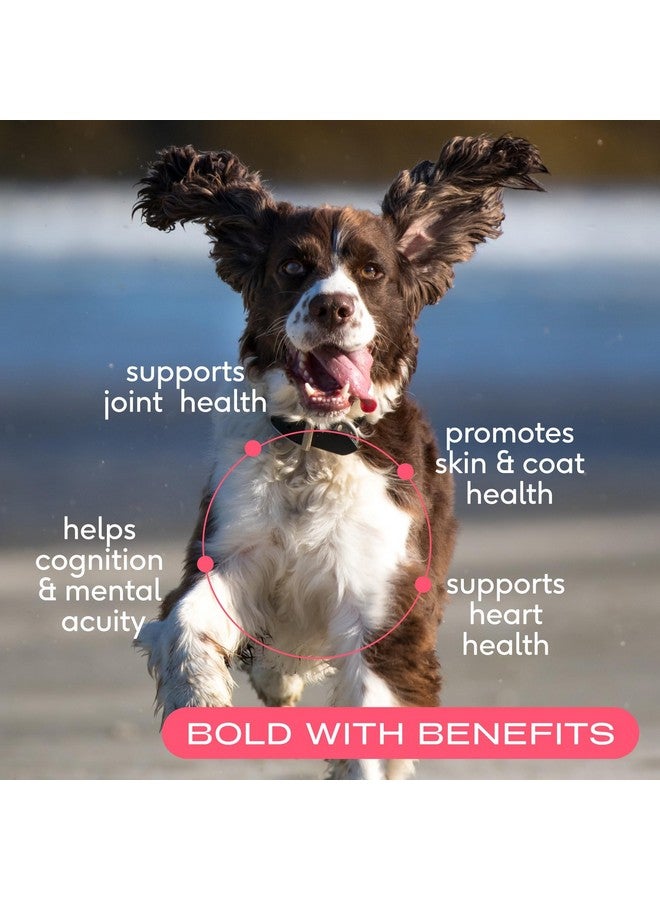 Native Pet Salmon Oil for Dogs & Cats - Pure Omega-3 Fish Oil for Dogs Supplement for Skin & Coat, Joint, & Heart Health & Dog Anti-Inflammatory - 100% Wild-Caught Alaskan Sockeye Salmon - 8 oz - Image 2