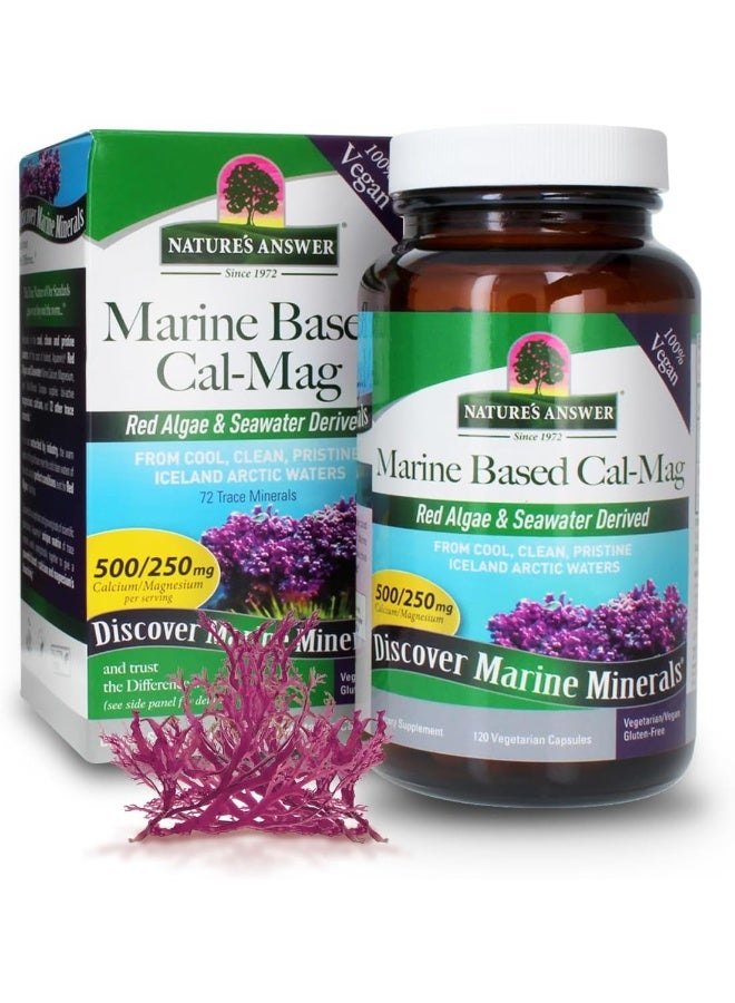 نايتشرز أنسر كبسولات نباتية من مصادر بحرية كالسيوم ماج 250/125 مجم، 120 كبسولة - Image 2