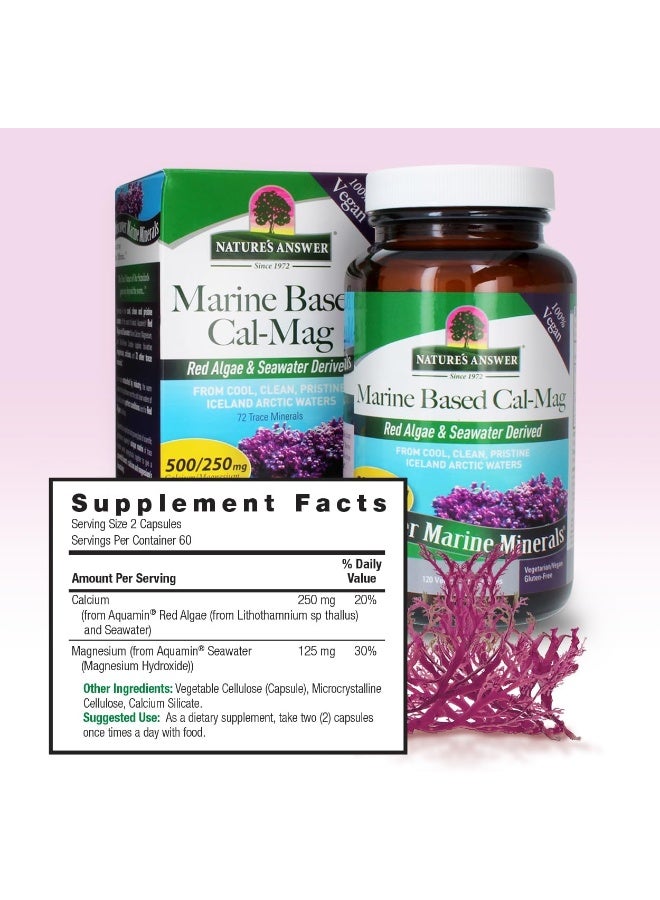 نايتشرز أنسر كبسولات نباتية من مصادر بحرية كالسيوم ماج 250/125 مجم، 120 كبسولة - Image 4