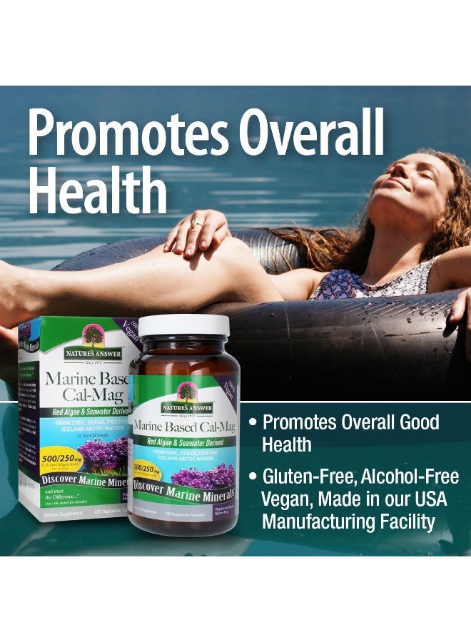 نايتشرز أنسر كبسولات نباتية من مصادر بحرية كالسيوم ماج 250/125 مجم، 120 كبسولة - Image 5