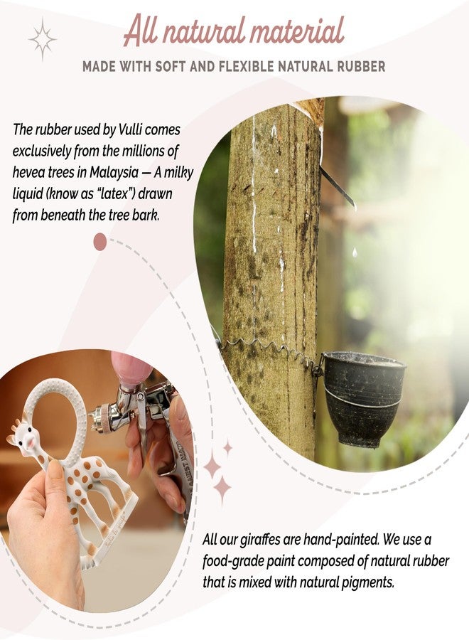 Sophie la girafe Teething Ring | Made from Natural Rubber | Designed for Teething Babies | Awaken All 5 Senses | Easy to Clean - Image 3