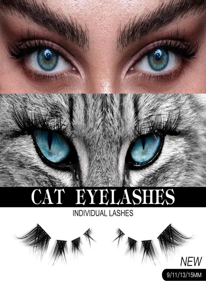 Bershnor 32 Pairs Cat Eye Individual Lashes Wispy Cat Eye Lashes DIY Lash Extensions 256pcs Clusters Lashes 8-16MM Fluffy Volume Eye Eyelashes Clusters - Image 2