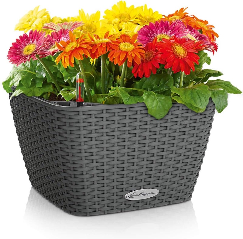 Lechuza 15453 Bacino Cottage 30 Self-Watering Indoor and Outdoor Use, 12" × 7", Granite Planter - Image 2