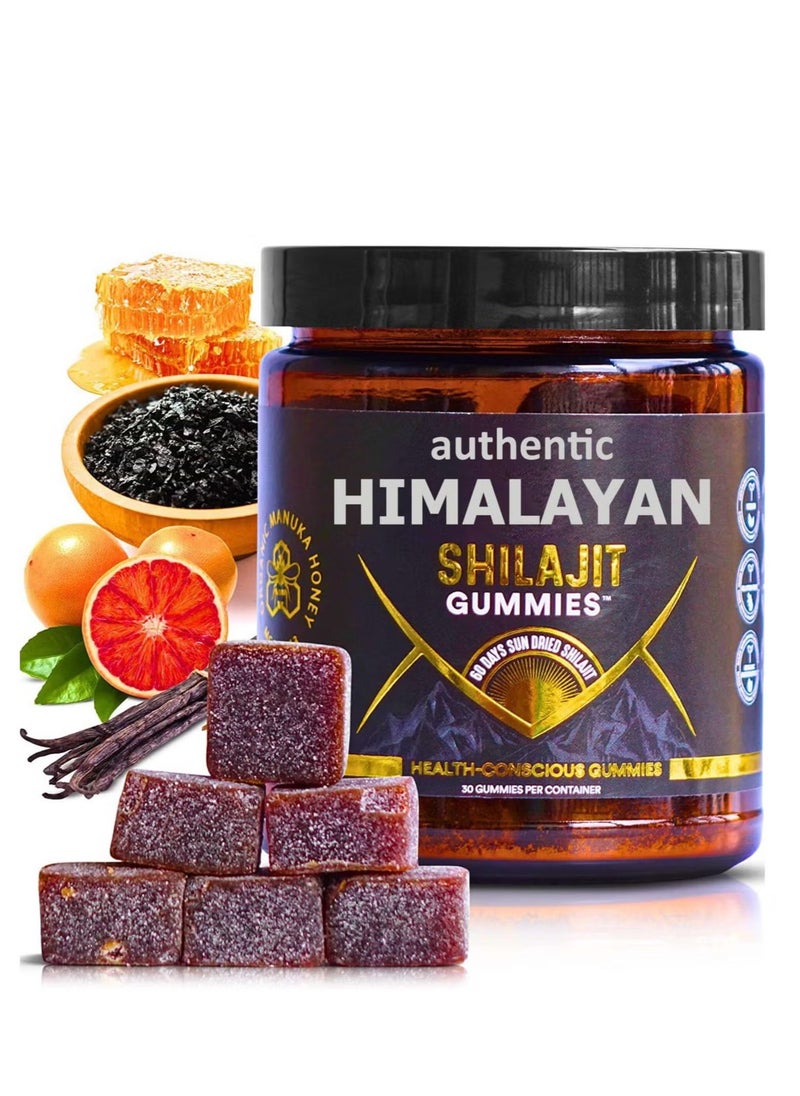 Shilajit RX - Organic SHILAJIT Gummies by | Organic Pomegrenate Oil Flavor | Cane Sugar Free, Sweetened by Organic Manuka Honey | Clean Formula | Heart & Brain, Cellular Health 30 Healthy Gummies - Image 1