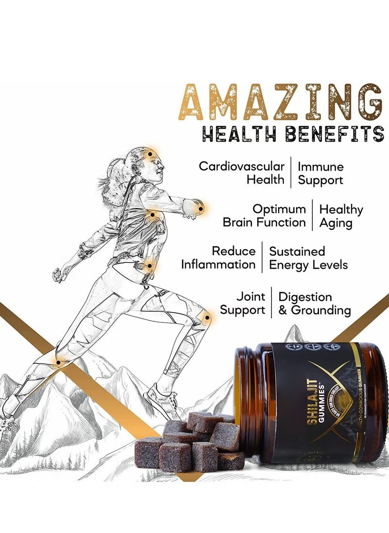 Shilajit RX - Organic SHILAJIT Gummies by | Organic Pomegrenate Oil Flavor | Cane Sugar Free, Sweetened by Organic Manuka Honey | Clean Formula | Heart & Brain, Cellular Health 30 Healthy Gummies - Image 1