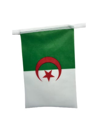 Stormflag Algeria string Flag Decoration Sports Bars 20flags 14x21cm 5M length - view 2