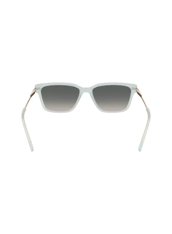 DKNY  FULL RIM ACETATE DKNY SUN DK713S  | Best Price UAE