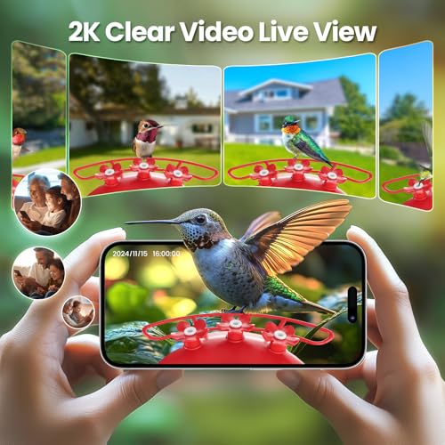 Soliom Hummingbird Feeder with Camera, Smart Bird Feeder Camera with 2K Live View AI Identify Species, Leak Proof & Ant Moat & Bee Proof, Outdoor Pole/Hook Hanging, 16 OZ Ideal Gifts for Family-Red - Image 2