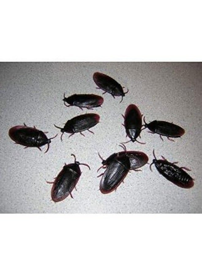 SPHTOEO 12- Fake Roaches Prank Novelty Cockroach Bugs Look Real - Image 2