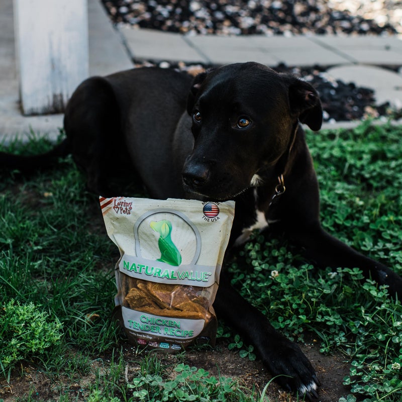 Loving Pets Natural Value All Natural Soft Chew Chicken Tenders Dog Treat, 14-Ounce - Image 4