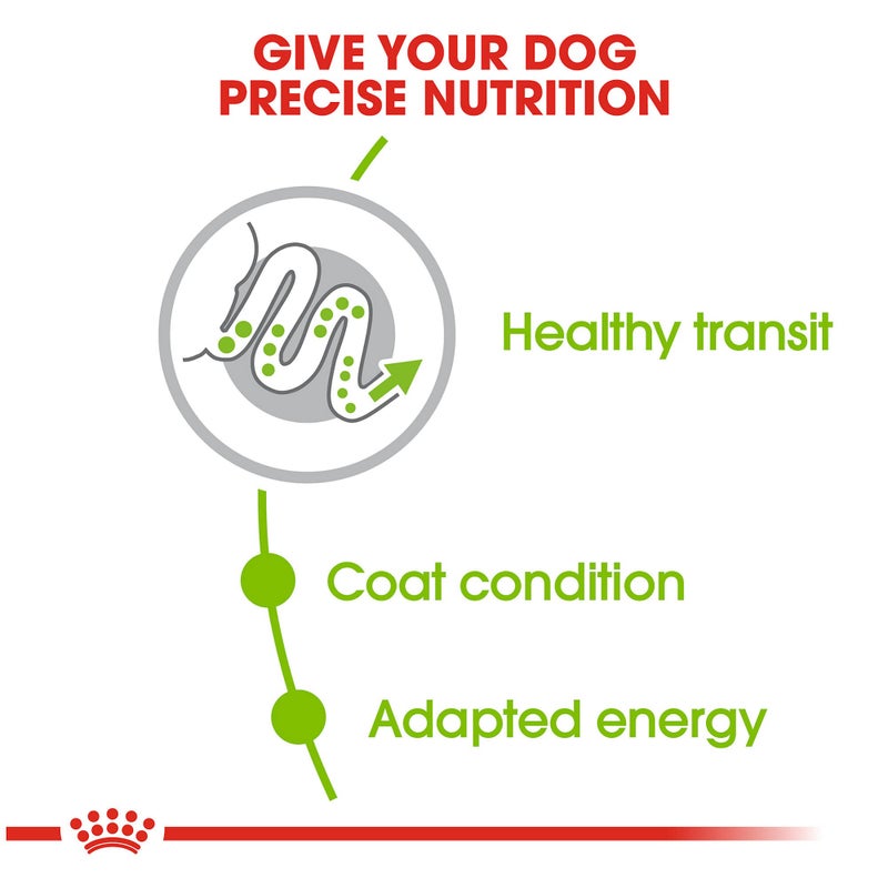 Royal Canin Size Health Nutrition X-Small 7+ Adult Dry Dog Food, 2.5 lb Bag - Image 3