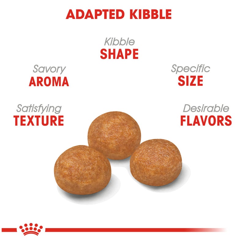 Royal Canin Size Health Nutrition X-Small 7+ Adult Dry Dog Food, 2.5 lb Bag - Image 2