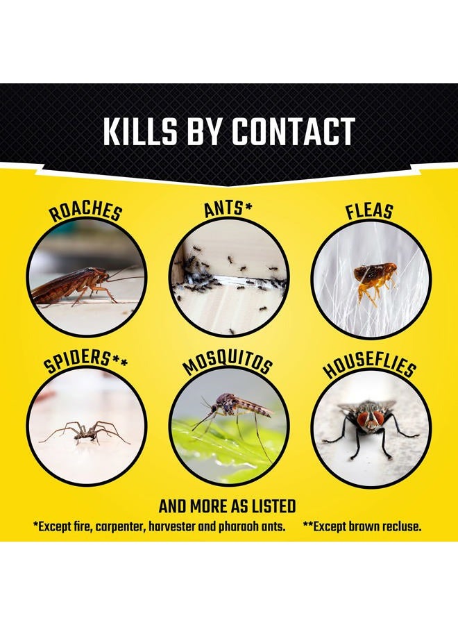 Black Flag Concentrated Fogger, 6 Count-1.25 Ounce Cans, Indoor Insecticide, 1 Pack - Image 4