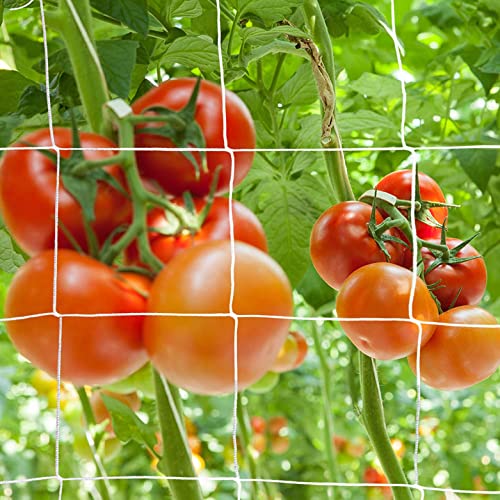 WNE Jaliwale Plant Climbing net & Creeper Net & Plant Trellis Net Plant Support Net White Color for Agriculture and Gardening Net - 6Feet x 3Feet - Image 3