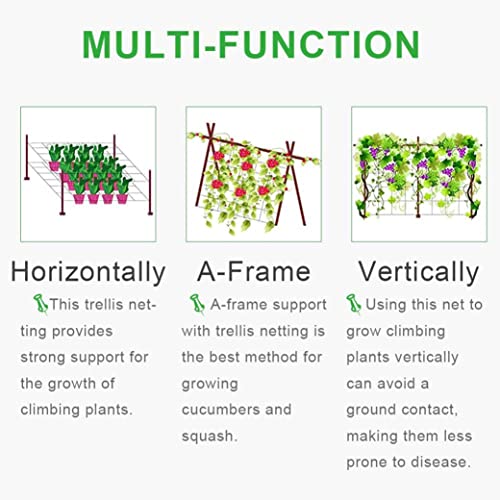 WNE Jaliwale Plant Climbing net & Creeper Net & Plant Trellis Net Plant Support Net White Color for Agriculture and Gardening Net - 6Feet x 3Feet - Image 2